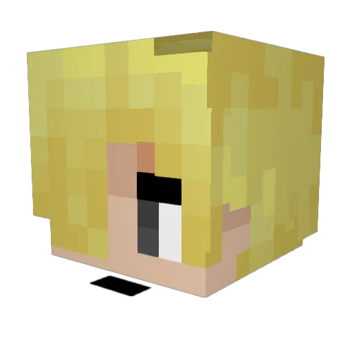 x2iu Minecraft avatar head, 3D render