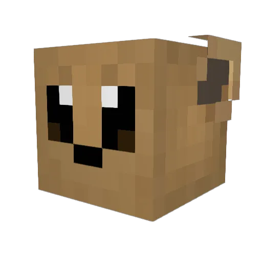 x3ric1221 Minecraft avatar head, 3D render