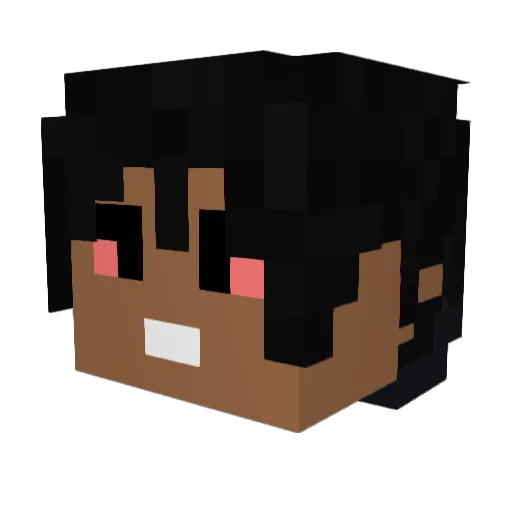 x5Noah Minecraft avatar head, 3D render