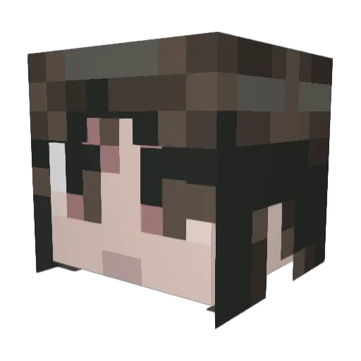 x680Sam Minecraft avatar head, 3D render