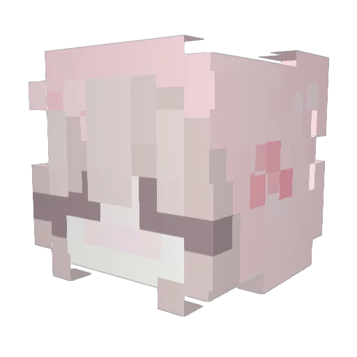 x6Casper6x Minecraft avatar head, 3D render