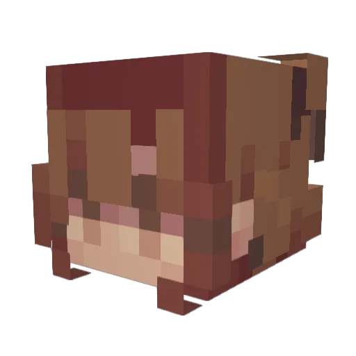 x8Rimuru8x Minecraft avatar head, 3D render