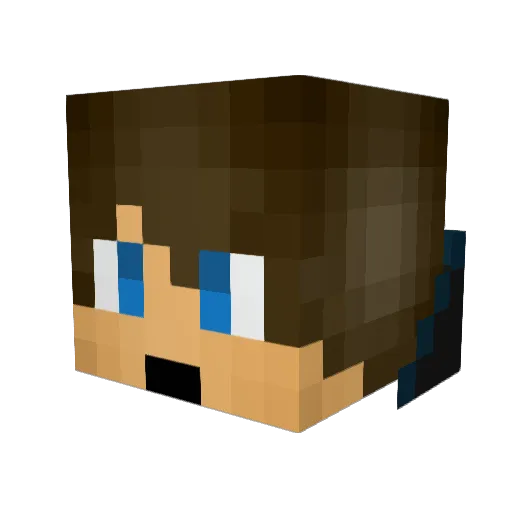 xAcidxCorex23x Minecraft avatar head, 3D render