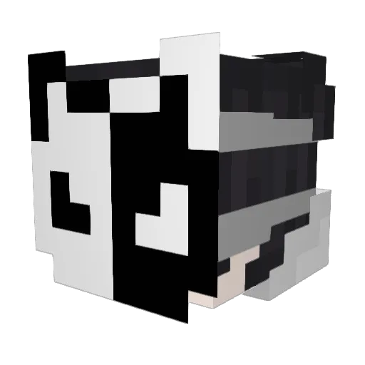 xAether_MCx Minecraft avatar head, 3D render