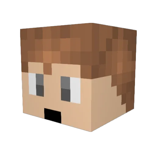 xAganun Minecraft avatar head, 3D render