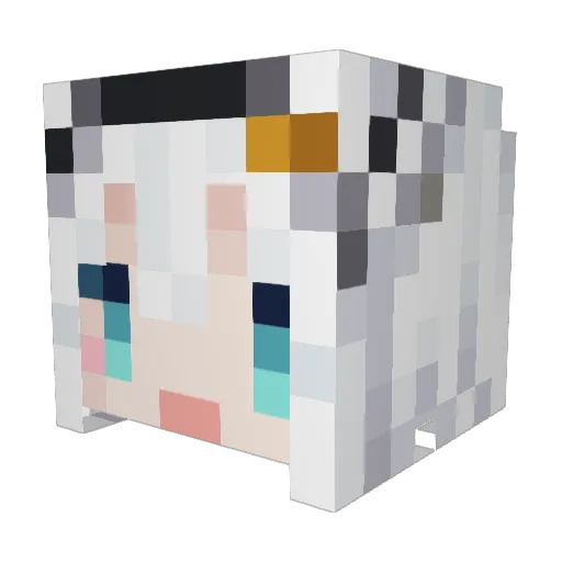 xAkirion Minecraft avatar head, 3D render