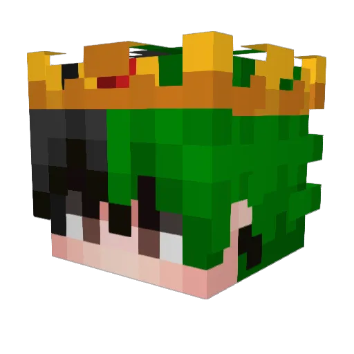 xAlan1510 Minecraft avatar head, 3D render