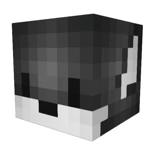 xAlanFTP Minecraft avatar head, 3D render