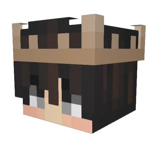 xAlexTchy Minecraft avatar head, 3D render