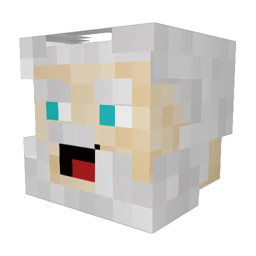 xAltweinx Minecraft avatar head, 3D render