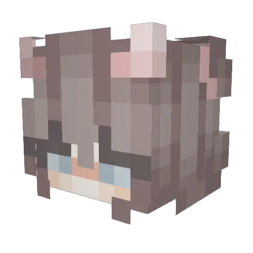 xAluna_ Minecraft avatar head, 3D render