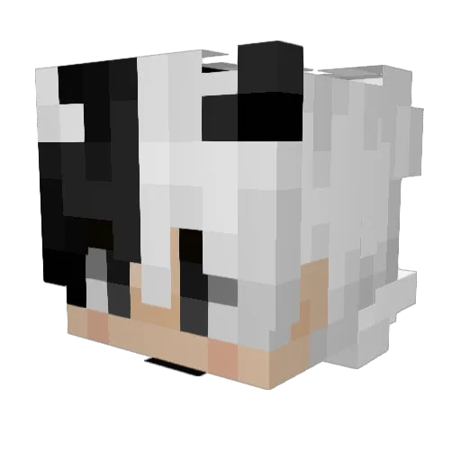 xAmDanix Minecraft avatar head, 3D render