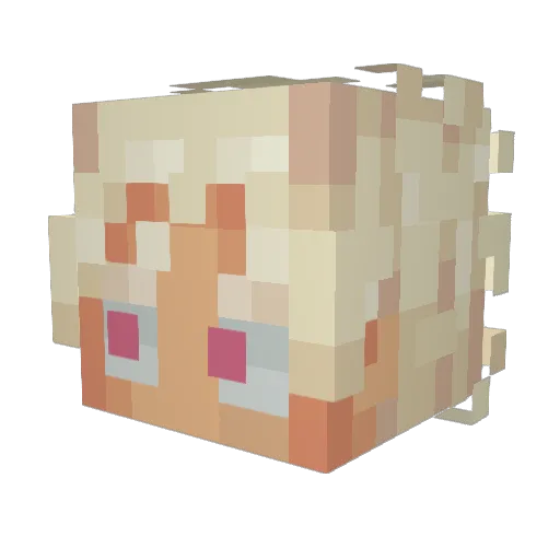 xAnDras25 Minecraft avatar head, 3D render