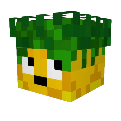 xAnanas_ Minecraft avatar head, 3D render