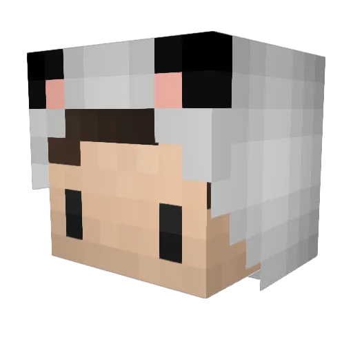 xAndrewThePandax Minecraft avatar head, 3D render