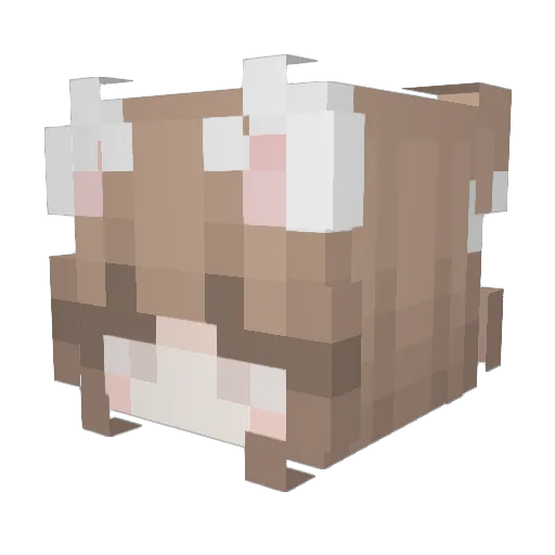 xAnime_Girl Minecraft avatar head, 3D render
