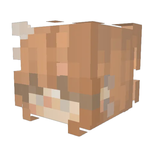 xAnnaa_ Minecraft avatar head, 3D render