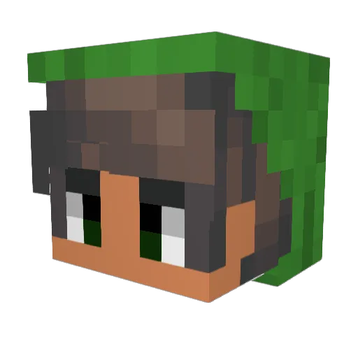 xAntonelx Minecraft avatar head, 3D render