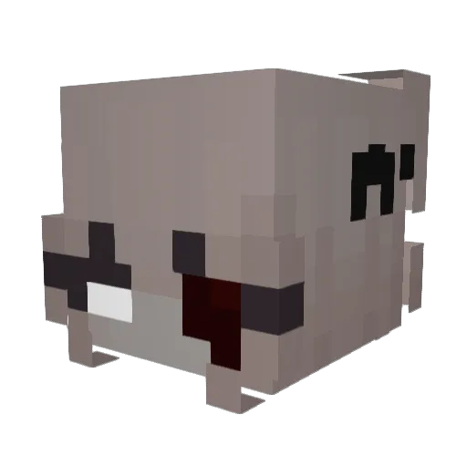 xAoifeRosex Minecraft avatar head, 3D render