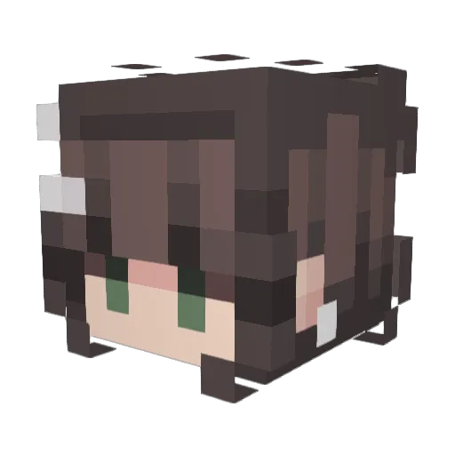 xAphelionx Minecraft avatar head, 3D render