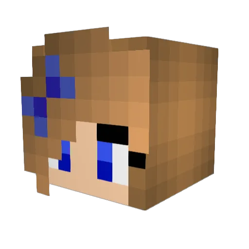 xApplejacks1129x Minecraft avatar head, 3D render