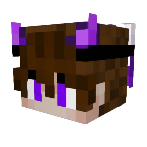xAr1esx Minecraft avatar head, 3D render