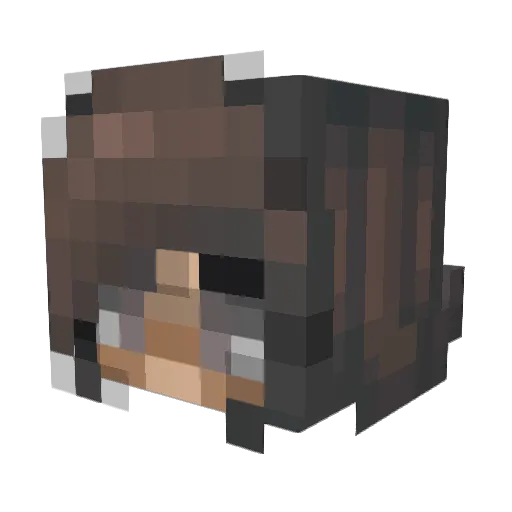 xAri31 Minecraft avatar head, 3D render