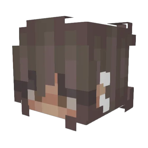 xArual_ Minecraft avatar head, 3D render