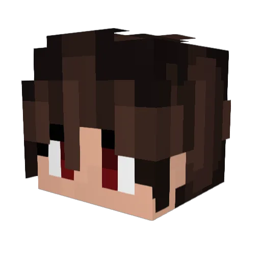 xAsani_ Minecraft avatar head, 3D render
