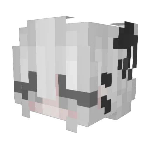 xAshlee Minecraft avatar head, 3D render