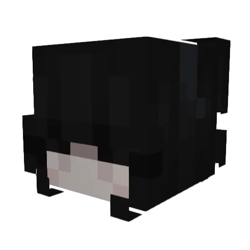 xAsian_Invasion Minecraft avatar head, 3D render