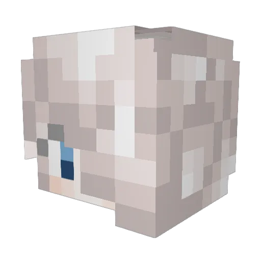 xAtomic13 Minecraft avatar head, 3D render
