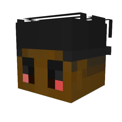 xB0NG0 Minecraft avatar head, 3D render