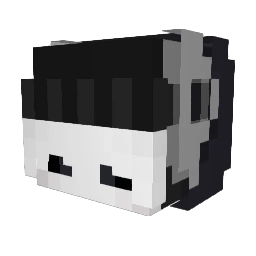 xBADGH0STx Minecraft avatar head, 3D render