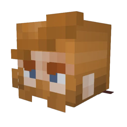 xBC7 Minecraft avatar head, 3D render