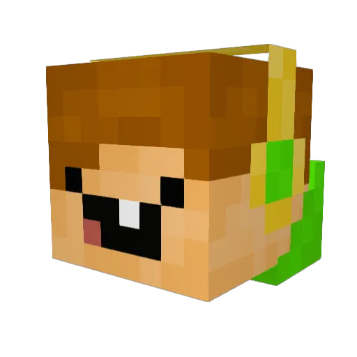 xBUBBLESx57 Minecraft avatar head, 3D render