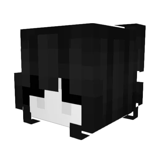 xBadwolfBay Minecraft avatar head, 3D render