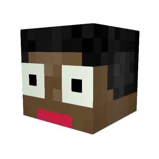xBaljeet Minecraft avatar head, 3D render