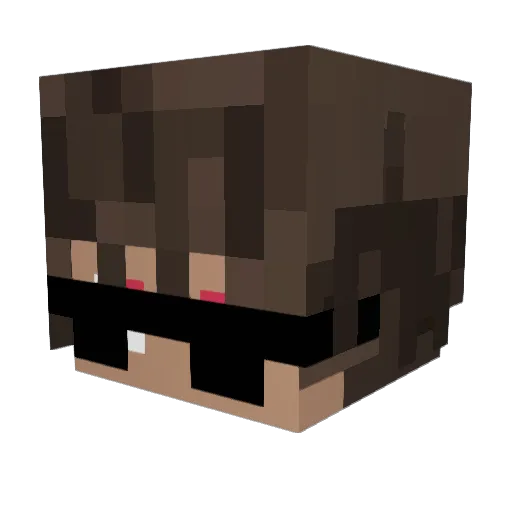 xBartiik Minecraft avatar head, 3D render