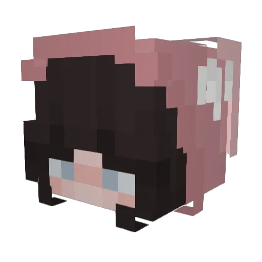 xBasmaaa Minecraft avatar head, 3D render