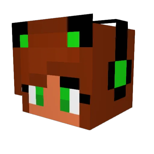 xBasti Minecraft avatar head, 3D render