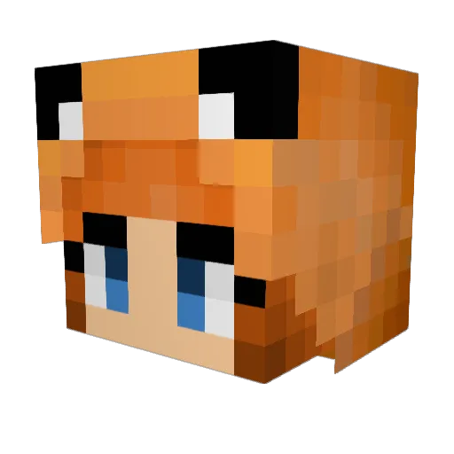 xBaunkax Minecraft avatar head, 3D render