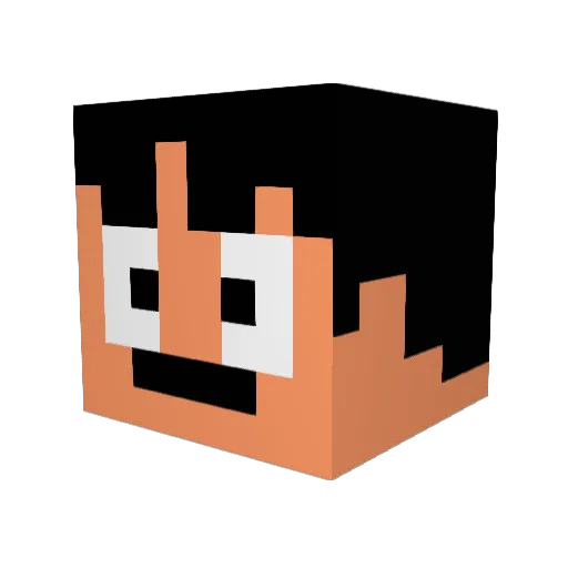 xBeWarned Minecraft avatar head, 3D render