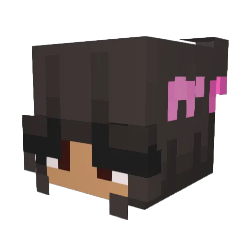 xBeagle Minecraft avatar head, 3D render