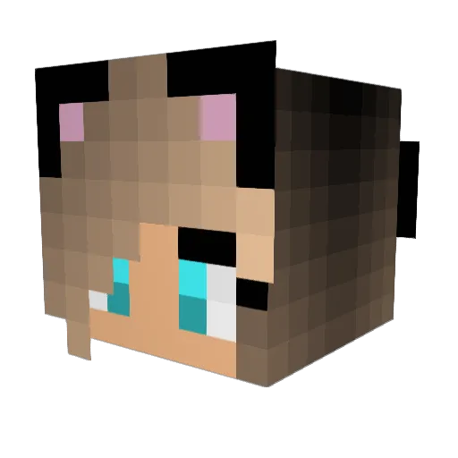xBeniiiix Minecraft avatar head, 3D render