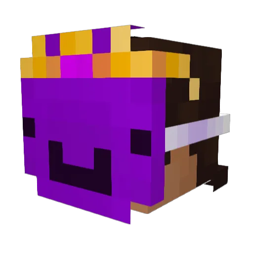 xBerdin Minecraft avatar head, 3D render