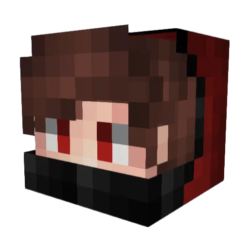 xBerryRandom Minecraft avatar head, 3D render