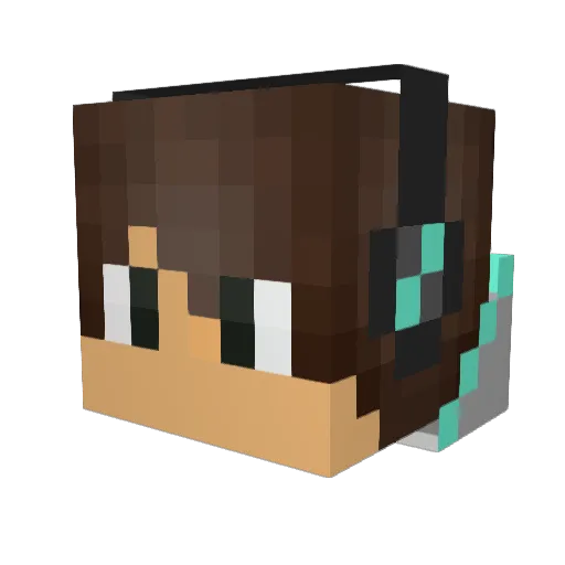 xBig_Kingx Minecraft avatar head, 3D render