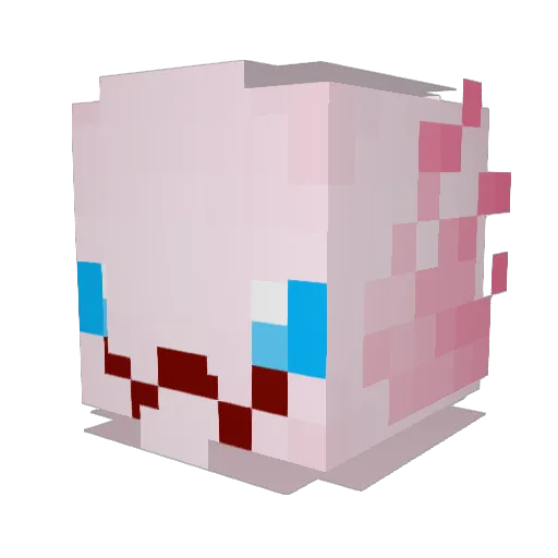 xBikeWitchx Minecraft avatar head, 3D render