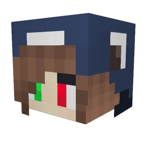 xBilderbuch Minecraft avatar head, 3D render